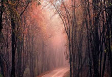 体育直播-快船血洗黄蜂，艾顿三分雨点燃全场——一场篮球盛宴的完美演绎