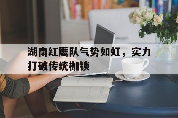 湖南红鹰队气势如虹，实力打破传统枷锁