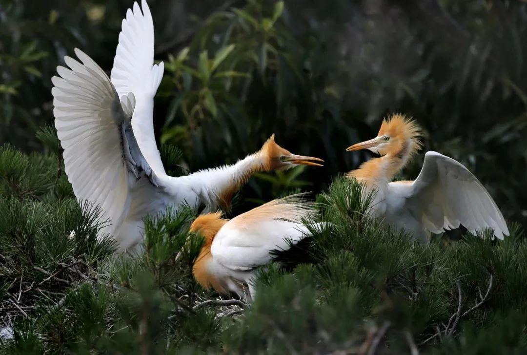 连云港自由活力战平对手,不甘示弱 连云港自由活力战平对手,不甘示弱